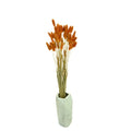 Fantasy Flower Immortal Small Bouquet Luxury Rabbit Tail Grass Real Dried Flowers Plants 30 Pieces/Bunch for Mother's Day