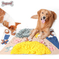 Direct Factory Extra Large Royal Garden Design Nosework Pet Lick Mat Dog Training Mat Snuffle Mat