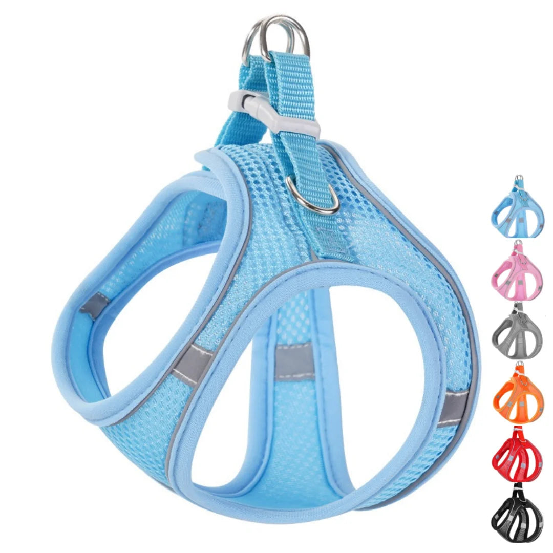 Pitbull Fashion Harness and Leash Pet Accessories