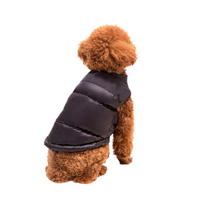Deluxe Designer Pet Clothes Valenton and Winter Black Zipper Pants Dog Jacket Wholesale