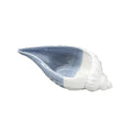 Modern Nordic Style Creative Ceramic Crafts Wholesale Marine Conch Storage Ceramic Tray Pottery & Enamel