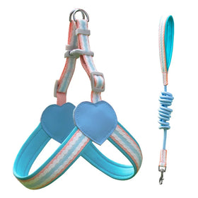 OEM/ODM Customizable Dog Harness Leash Set Adjustable Pet Vest Lead Walking Rope Fashion Striped Pattern Dog Harness