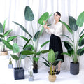Travelers Plant Decorative Bonsai Artificial Greenery Fake Plastic Trees for Indoor and Outdoor Use