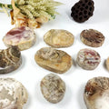 Wholesale Natural Polished Wood Fossil Slab Rough Petrified Wood Stone Slice Specimen for Decoration