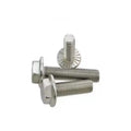 Bes Quality Din6921 Flange Bolt Hardware Tools Bolts and Nuts M8 M10 M12