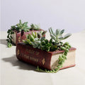 Retro Book Dictionary Shape Resin Bonsai Containers Planters Small Flower Pots Succulent Plants Garden Study Room Desktop