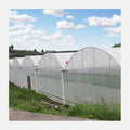 Multispan High Tunnel Agriculture Growing Tent Polytunnel Greenhouse Polycarbonate Green House for Pepper