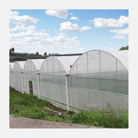 Multispan High Tunnel Agriculture Growing Tent Polytunnel Greenhouse Polycarbonate Green House for Pepper