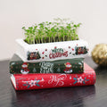 Hot Selling Ins Home Decor Creative Book Shaped Flower Ware Interesting Ceramic Vases for Desktop Bookshelf Office Christmas