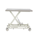 Vet Table Electric Clinic Pet Stretcher Therapy Bed Treatment Table Medical Bed Examination Couch Lift Table for Veterinary