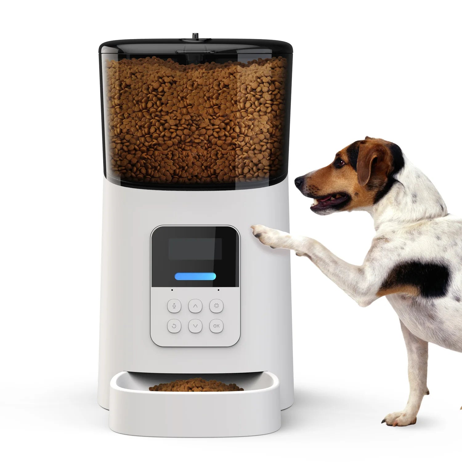 OEM/ODM Wholesale 6L TUYA Smart Automatic Pet Feeder Wifi Pet Feeder Camera for Cats Dogs Plastic Food Dispenser Charge Power