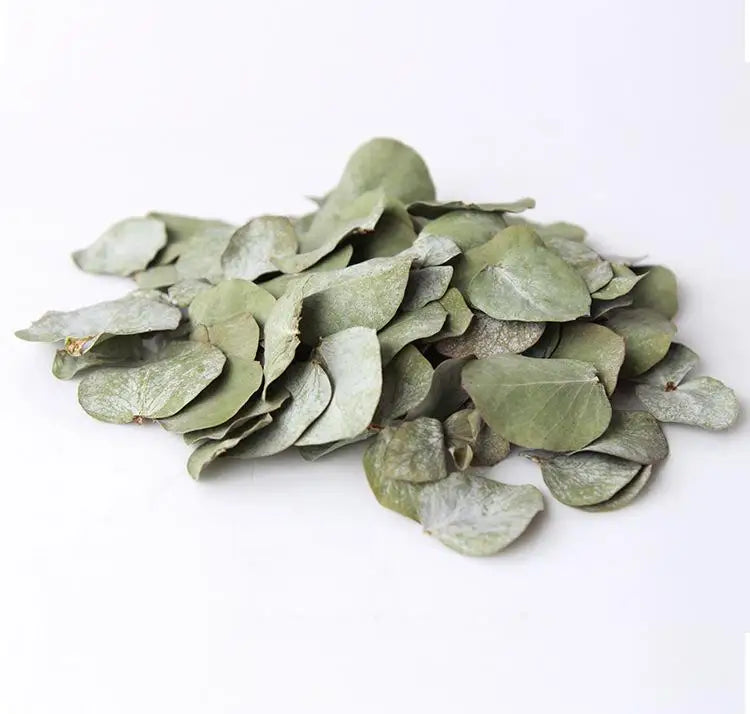1kg Biodegradable Dried Real Eucalyptus Leaves 100% Natural Bulk Round Eucalyptus Green Leaves Petals Confetti