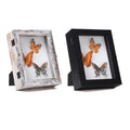 Distressed White Rustic or Black Wood Framed Butterfly Specimen UV Printed Wholesale Butterfly Shadow Box Home Ornaments