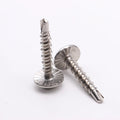 Customized Stainless Steel 304 316 Serrated Cross Recessed Pan Head Truss Washer Head Self Drilling Screw