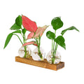 Hydroponic Glass Vase Greenery Flower Arrangement Container Home Gardening Countertop Decoration Wood Art Decor