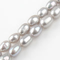 Wholesale Natural 4*5MM Grey round Freshwater Pearl Loose Beads for DIY Jewelry Making MegaBDM
