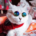 Cute Funny Pet Glasses Classic Retro Metal Round Sunglasses Cute Dog Cat Sunglasses Wholesale