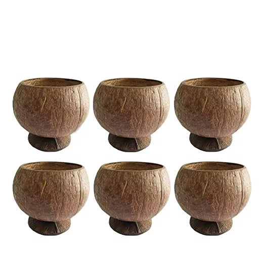 Eco-Friendly 100% Natural Coconut Bowl Custom Logo Handcrafted Raw Coconut Shell Cups