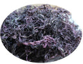 100% Natural Wholesale Sea Moss Dried Top Rated Purple Sea Moss