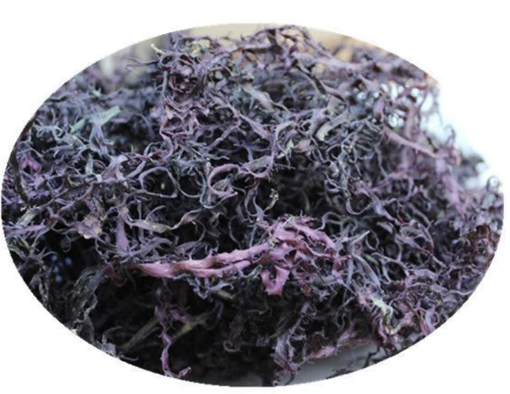 100% Natural Wholesale Sea Moss Dried Top Rated Purple Sea Moss