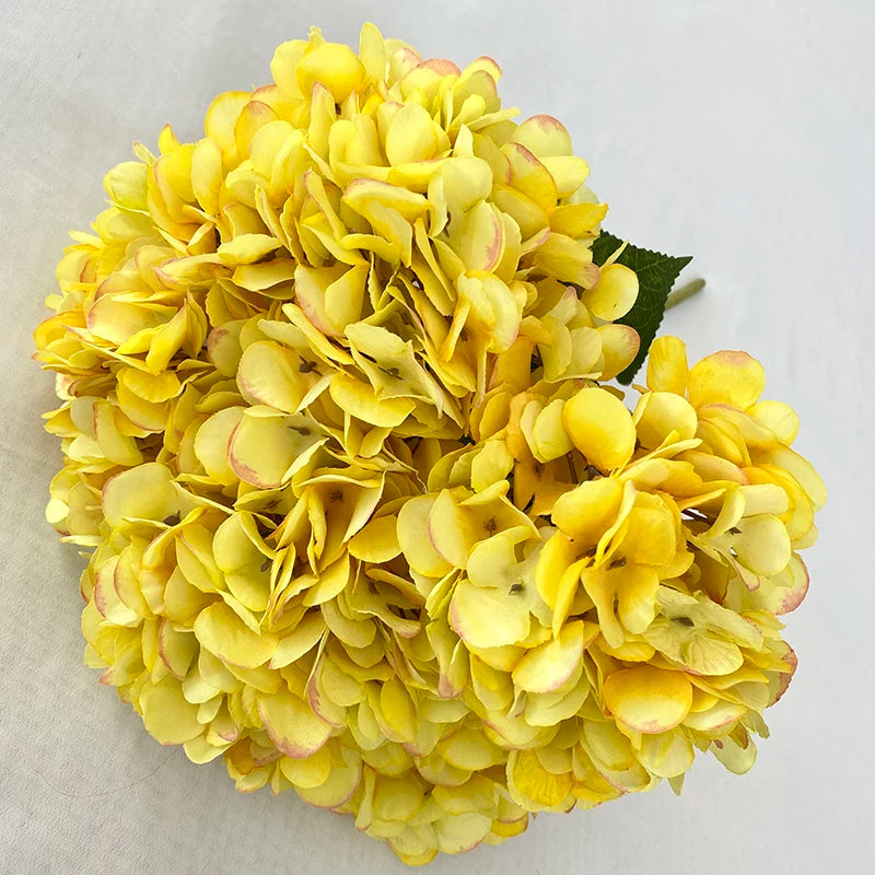 Multicolor-Yellow Modern Style Coated Hydrangeas with Five Heads and Four Corners