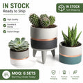 Ready to Ship Nordic Indoor Cement Flower Pots High Quality Modern Luxury Home Decor with Wood Stand