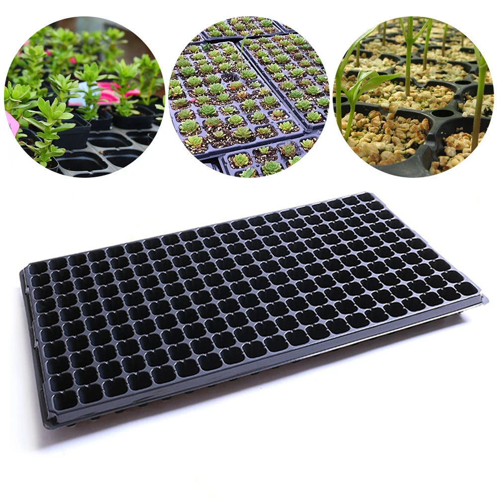 Sophisticated Technology 21*11 cm Cell Trays in Indonesia Market