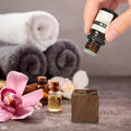 Tailai  Premium Black Walnut Square Aromatherapy Diffuser - Ideal for Home and Cars Enhancing Any Space With Soothing Scents