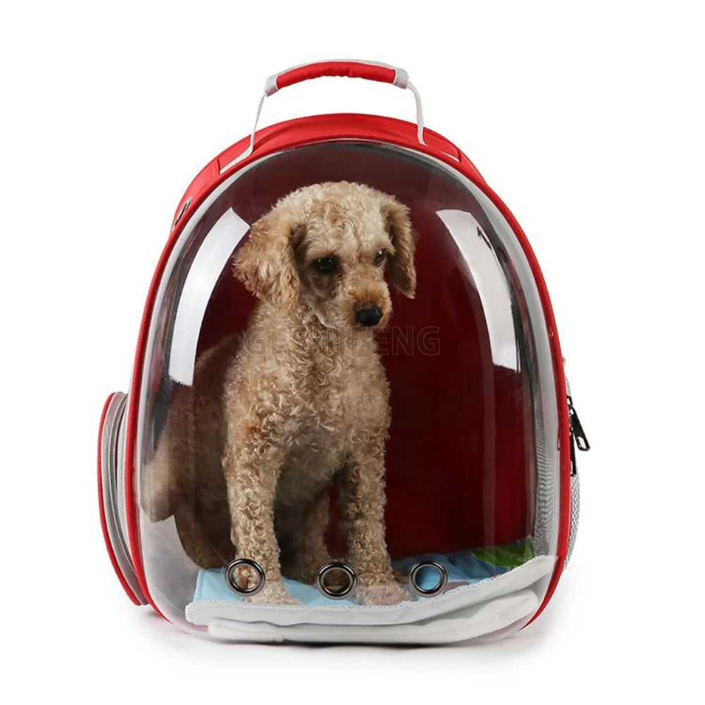 Hot Sale 2024 New Pet Cat Carrier Transparent Space Capsule Pet Backpack