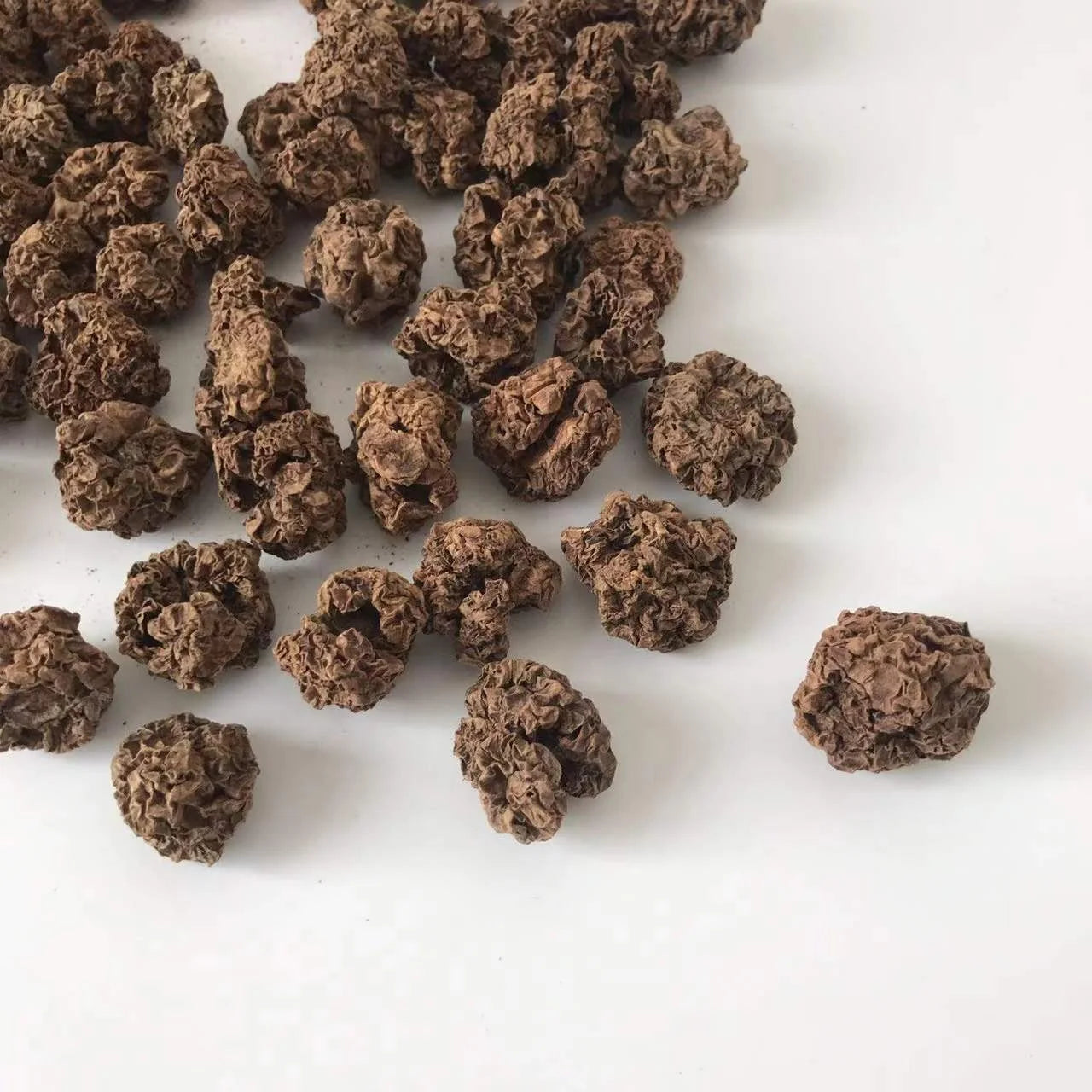 YHC09 Natural SilverVine Actinidia Polygama Fruit Matatabi Insect Gall Fruit for Cat Chew