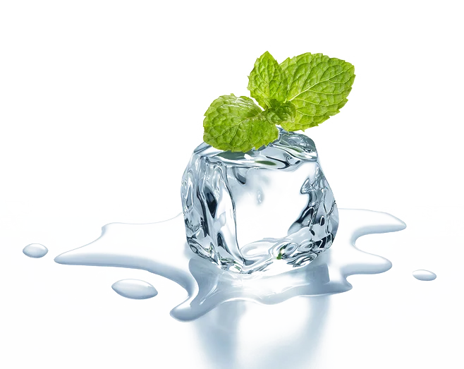 HL- Natural Pepper Mint Essential Oils Supplier Bulk Peppermint Oil for Hair Treatment Growth Products | Cosmetic Grade