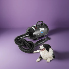 PETSPROOFING Sustainable Fast Air Forced Dryer for Pet Hair Drying for Dog Grooming and Cat Care PP Material Charge Power Source