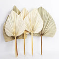 Sale Rural Style Dried Palm Leaves Artificial Palm Pampas Natural Dried Grass for Restaurant Home DecorWisteria Flower