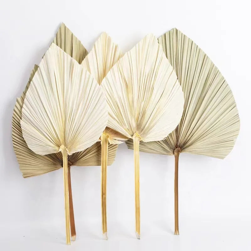 Sale Rural Style Dried Palm Leaves Artificial Palm Pampas Natural Dried Grass for Restaurant Home DecorWisteria Flower