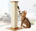 Interactive Pet Cat Toy Climbing Frame Kitten Scratching Tree Ultimate Cat Scratching Post