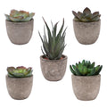Set of 5 Assorted Decorative Faux Succulent Potted Plastic Plants with Gray Pulp Pots