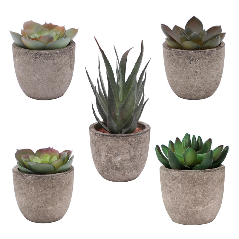 Set of 5 Assorted Decorative Faux Succulent Potted Plastic Plants with Gray Pulp Pots