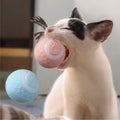 Modern Smart Electric Vibrating Ball Toy for Cats Automatic Interactive Gravity Rolling Ball Silicone Charging Pet Playing