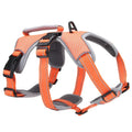 Lovoyager LVH1158 Hands-Free Printed Dog Harness with Breakaway Feature Ribbon Decoration Durable Polyester & Cotton