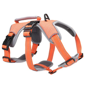 Lovoyager LVH1158 Hands-Free Printed Dog Harness with Breakaway Feature Ribbon Decoration Durable Polyester & Cotton