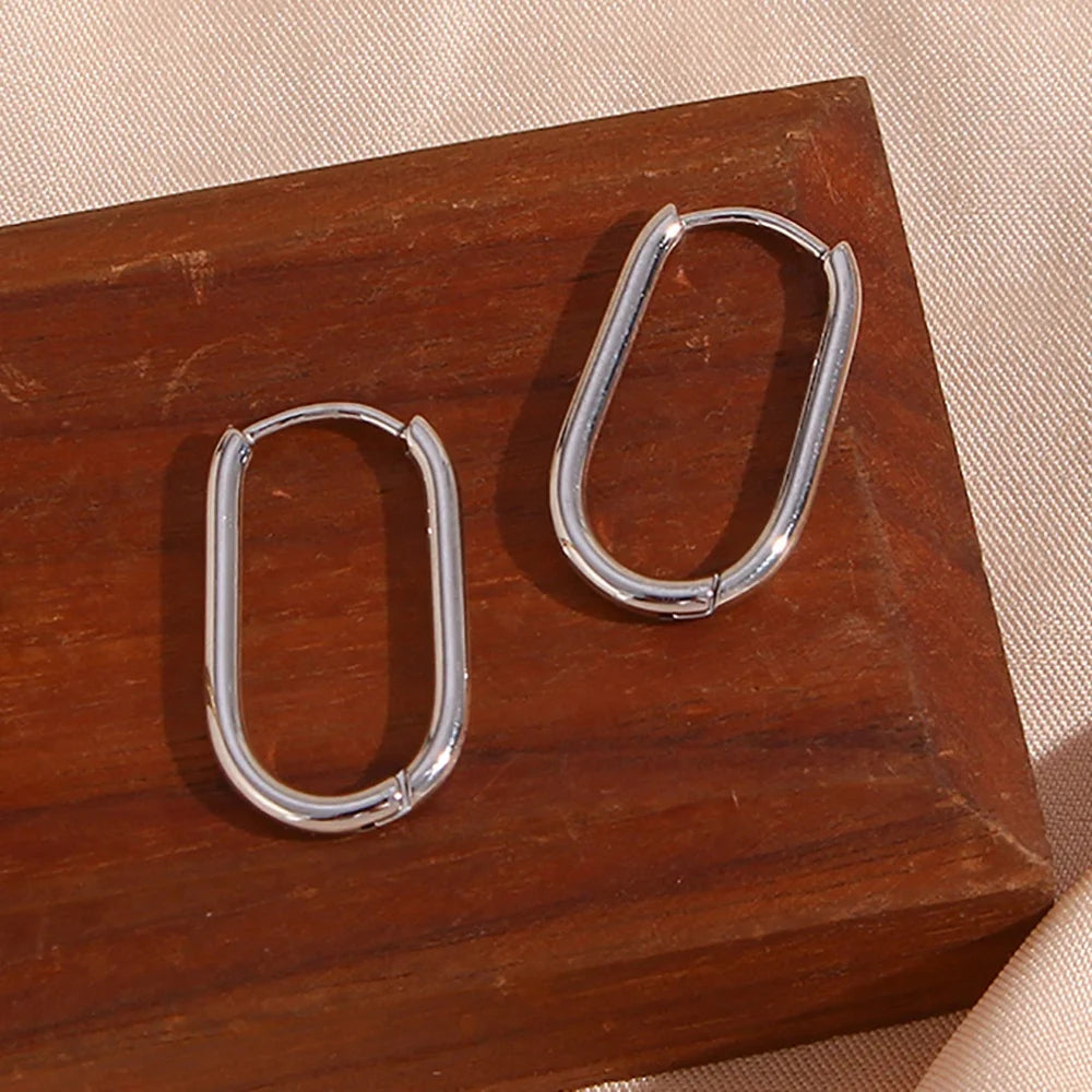 Dreamshow Tarnish Free Stainless Steel Hoop Earring Jewelry for Women Water Proof Huggies Earring