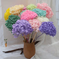 EVERY LOVE Hochzeit Deko Immortal Flower Preserved Dried Anna Hydrangea for Wedding Decoration Home Decor