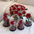 Perfect Valentine's Day Decorative Flower Gift Preserved Rose Everlasting Roses in Glass Dome Box