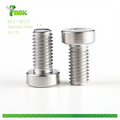 DIN6912 Low Head Socket Cap Screw M3-M30 Stainless Steel Ss304 A2-70  Hex Socket Thin Head Cap Screw DIN7984