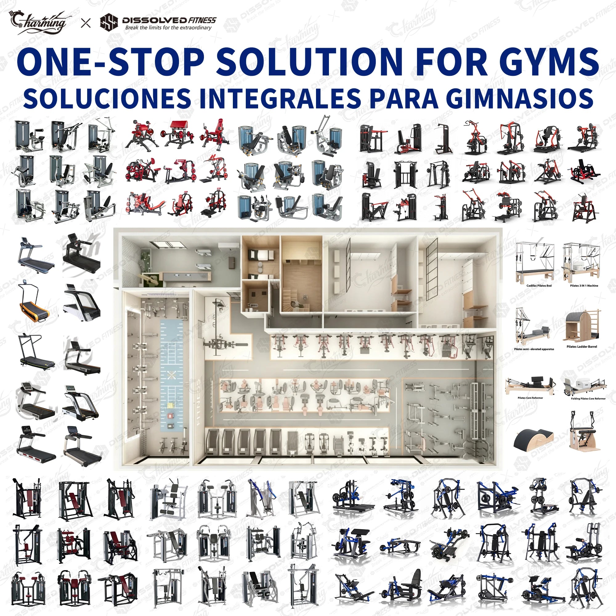 European Luxury Gym Equipment Full Set Heavy Duty Gym Machines Reformer Pilates Line Commercial Gym Setup for Fitness Center