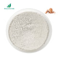 Bulk Price Eggshell Membrane Powder with Eggshell Protein Halal Certified 10:1 20:1 for Adult Nutritional Supplements