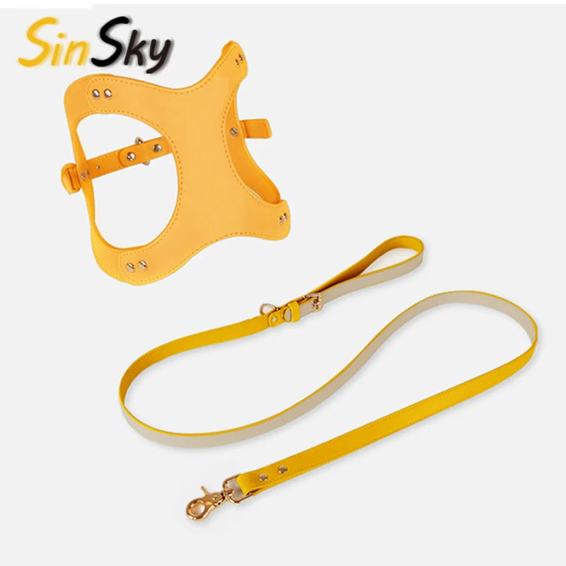 SinSky Custom Personalized Design PU Leather Step in Puppy Small Dog Harness and Leash Set with Soft Neoprene Handle