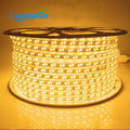 220V High Lumen Luz 5730 LED Strip Light Double Row 120LED 100m/Roll IP67 Waterproof Outdoor Landscape Lighting Red Blue Green