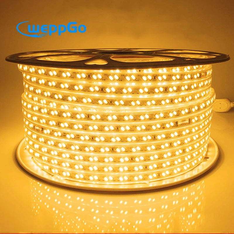 220V High Lumen Luz 5730 LED Strip Light Double Row 120LED 100m/Roll IP67 Waterproof Outdoor Landscape Lighting Red Blue Green