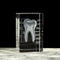 Clear Crystal Cube With Teeth Artificial Enlarged Natural Tooth Dental Data Model Laser Engraved for Student Practice
